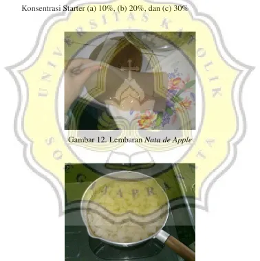 Gambar 12. Lembaran Nata de Apple 