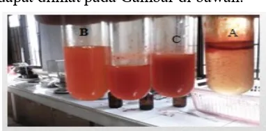 Gambar IV.1 Pengaruh pH  terhadap kestabilan ekstrak cabe merah.  A. ekstrak 