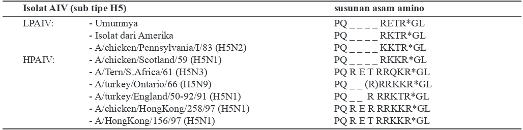 Tabel 2. Urutan tempat pemecahan hemaglutinin isolat virus avian influenza