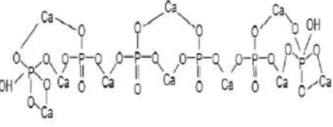 Gambar 2.2 Struktur hidroksiapatit (Warastuti dan Basril, 2011: 75) 