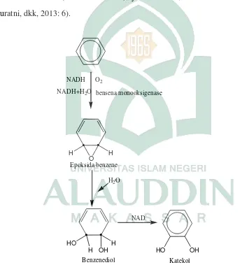 Gambar 2.5 Reaksi degradasi hidrokarbon aromatik (Suratni, dkk, 2013: 6). 