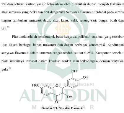 Gambar 2.9.  Struktur Flavonoid 