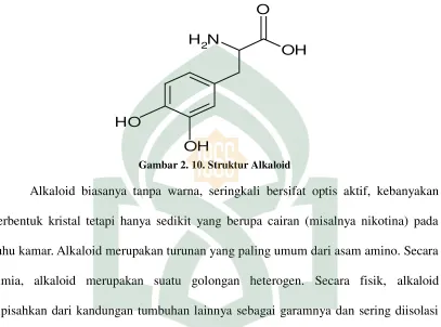 Gambar 2. 10. Struktur Alkaloid 