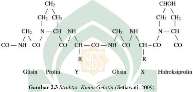 Gambar 2.3 Struktur  Kimia Gelatin (Setiawati, 2009). 