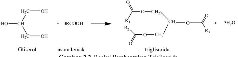 Gambar 2.2. Reaksi Pembentukan Trigliserida 