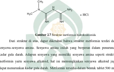 Gambar 2.7 Struktur metformin hidroksiklorida 