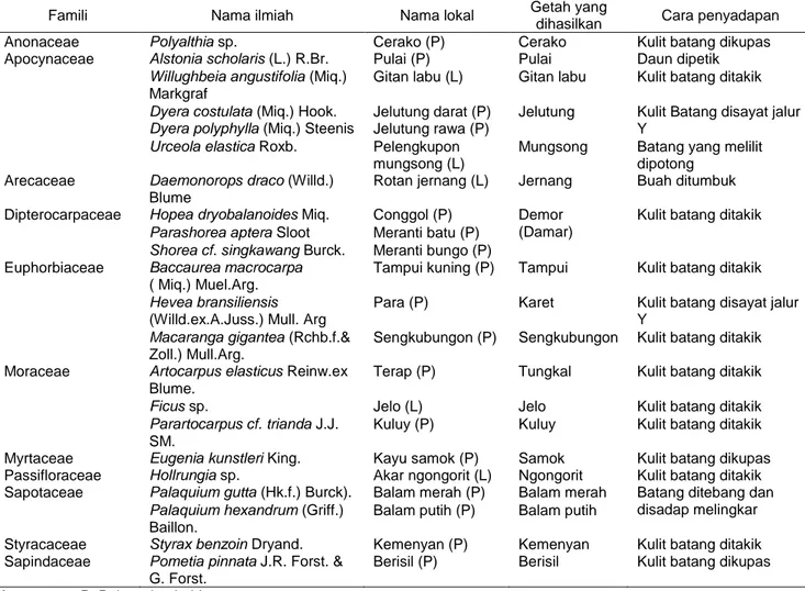 Tabel 1  Daftar nama famili, nama ilmiah, nama lokal, nama getah, serta cara penyadapan tumbuhan penghasil getah yang  dimanfaatkan oleh SAD 