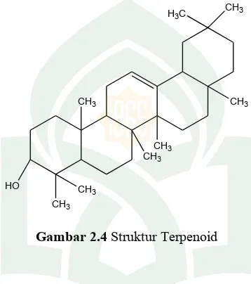 Gambar 2.4 Struktur Terpenoid 