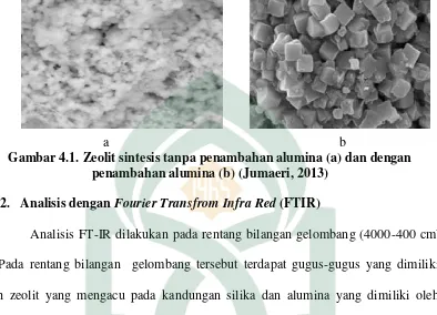 Gambar 4.1. Zeolit sintesis tanpa penambahan alumina (a) dan dengan 