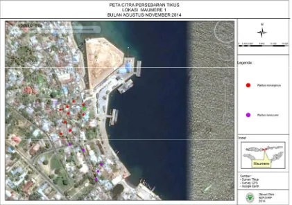 Gambar 1. Lokasi penangkapan tikus di Pelabuhan El Say Maumere