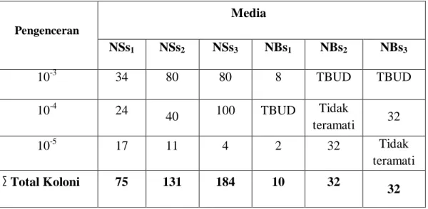 Tabel  2.  Jumlah  total  bakteri  nitrifikasi  yang  ditumbuhkan  pada  medium  padat  spesifik  nitrifikasi