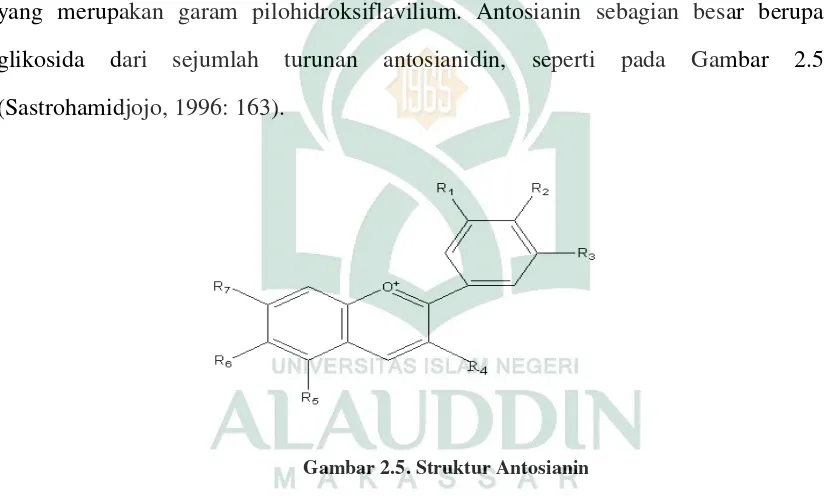 Gambar 2.5. Struktur Antosianin  