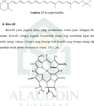 Gambar 2.8 Struktur Klorofil a 