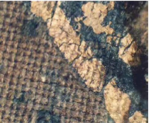 Gambar 6.: Batik dan tritik pada 