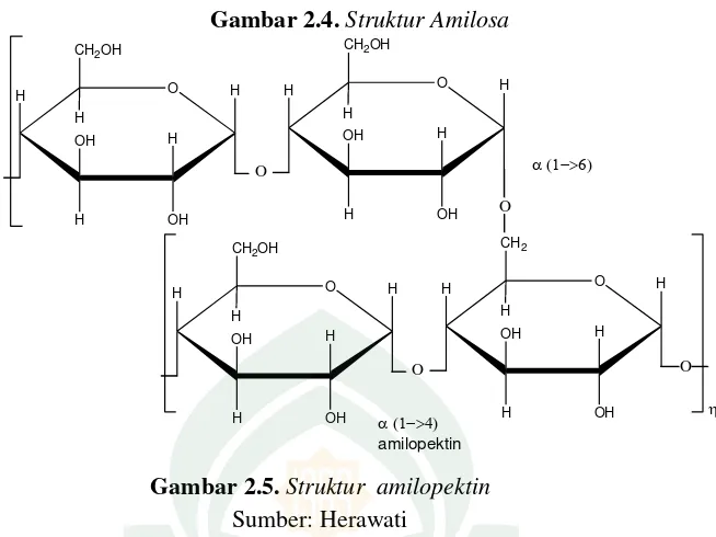 Gambar 2.4. Struktur Amilosa 