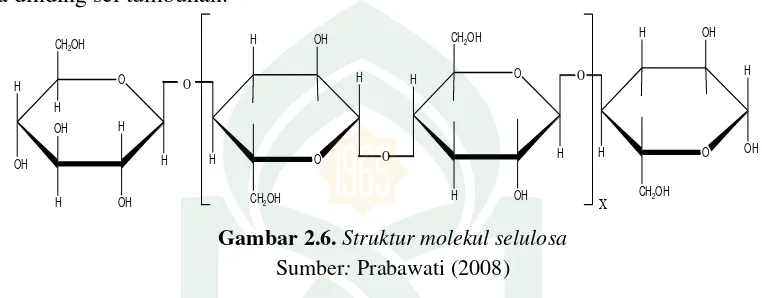 Gambar 2.6. Struktur molekul selulosa 