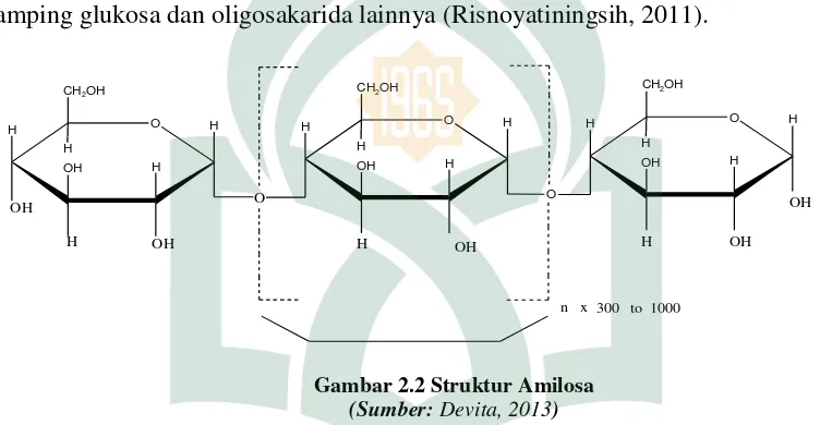 Gambar 2.2 Struktur Amilosa 
