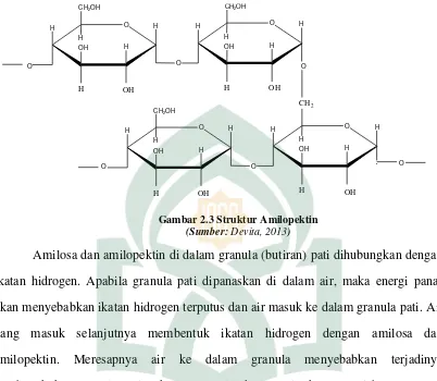 Gambar 2.3 Struktur Amilopektin 