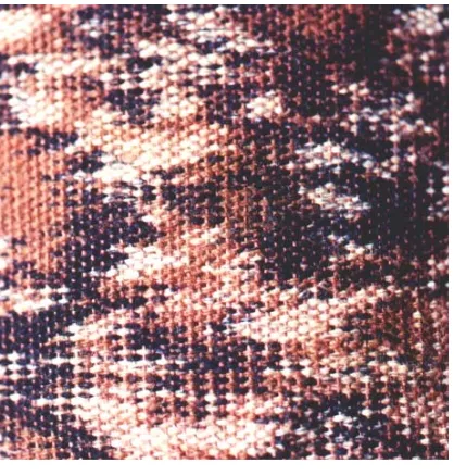 Gambar 8b (kiri).: Detail efek teknik ikat yang dibentuk dengan tehnik batik pada kain, yang kemudian benang pakan dan lungsinya dibongkar (dilolosi) untuk di-’tenun-ulang’