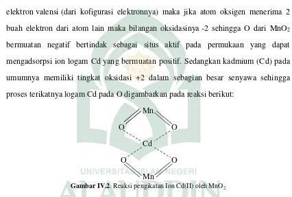 Gambar IV.2. Reaksi pengikatan Ion Cd(II) oleh MnO2 