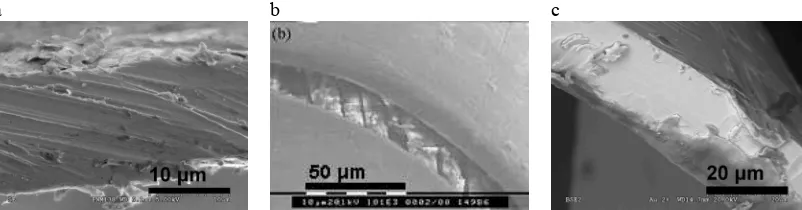 Figure 1. SEM micrographs of edges of metal threads. a: “beaten and cut”, b:”cast, drawn and rolled”, c: model metal filament  