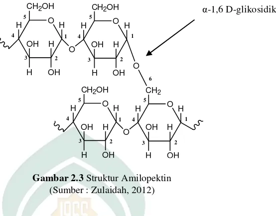 Gambar 2.3 Struktur Amilopektin     