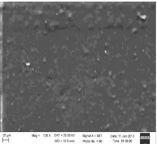 Gambar 2.11 Permukaan bioplastik pati-gliserol-kitosan (Sinaga, dkk, 2014) 