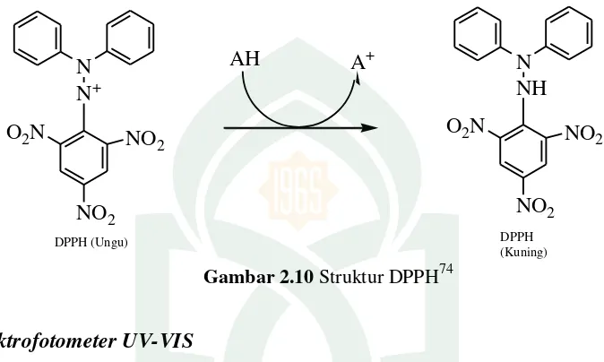 Gambar 2.10  Struktur DPPH74 