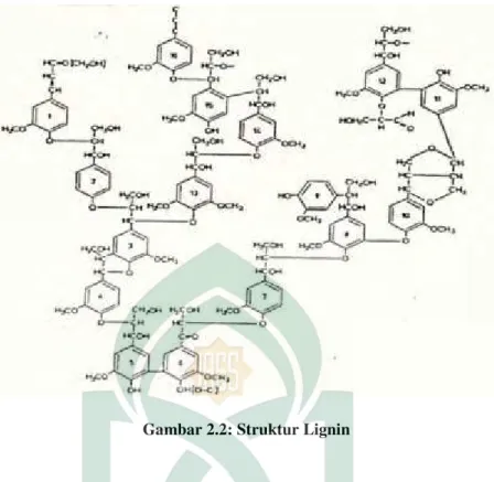 Gambar 2.2: Struktur Lignin