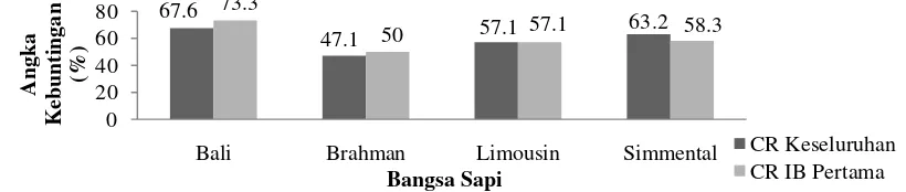 Gambar 2. Pengaruh bangsa sapi potong yang diinseminasi buatan terhadap conception rate/angka konsepsi di Kabupaten Bantaeng  