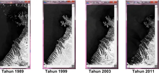 Gambar D.  Citra Landsat hasil Metode rationing band 2 dan band 5 