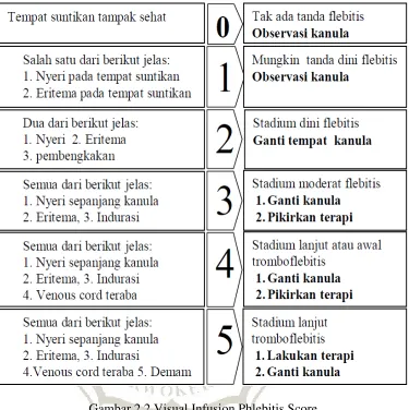 Gambar 2.2 Visual Infusion Phlebitis Score 