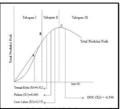 Grafik 5. Posisi Elastisitas Setiap Input Produksi Ayam Broiler 