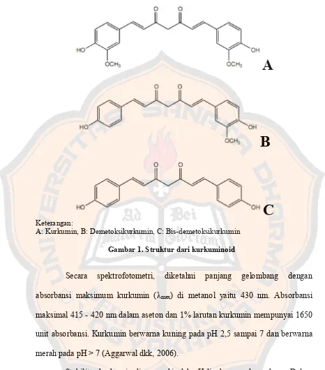 Gambar 1. Struktur dari kurkuminoid 