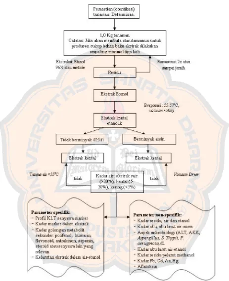 Gambar 6. Aspek dan tahapan skematik standardisasi (Saifudin dkk, 2011)  