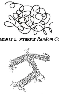 Gambar 1. Struktur  Random Coil 