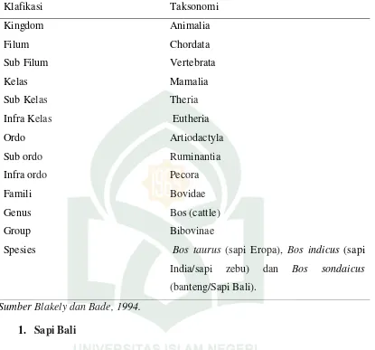 Tabel 1. Klasifikasi Taksonomi Sapi 