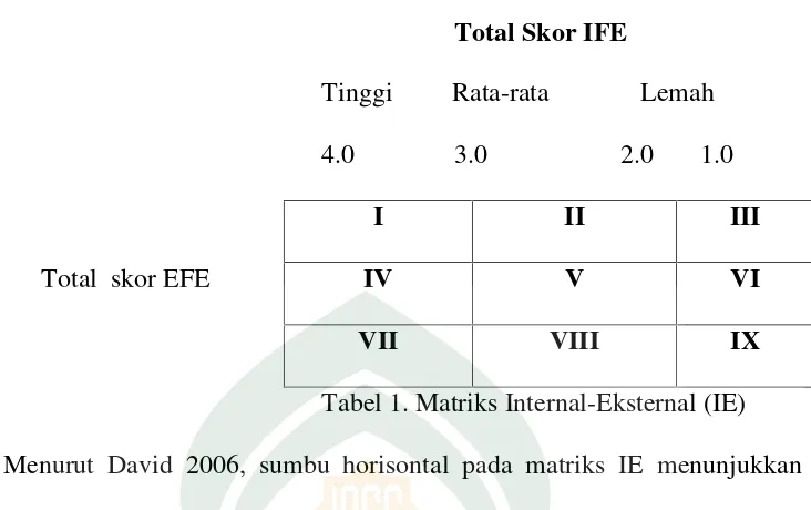 Tabel 1. Matriks Internal-Eksternal (IE)