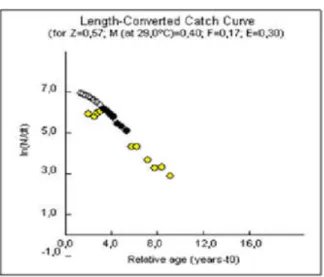 Gambar 5. Nilai Z sebagai slope kurva konversi hasil tangkapan dengan panjang cagak ikan kakap laut-dalam.