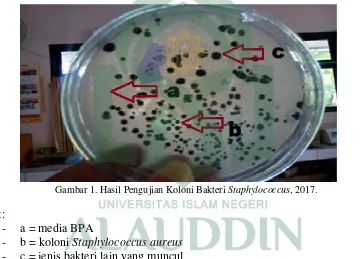 Gambar 1. Hasil Pengujian Koloni Bakteri Staphylococcus, 2017. 