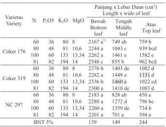 Tabel 5.  Pengaruh  varietas  dan  dosis  pupuk  terhadap  ukuran  daun  bawah,  tengah  dan  atas  tembakau  Virginia di Lombok Tengah, Nusa Tenggara Barat Table 5