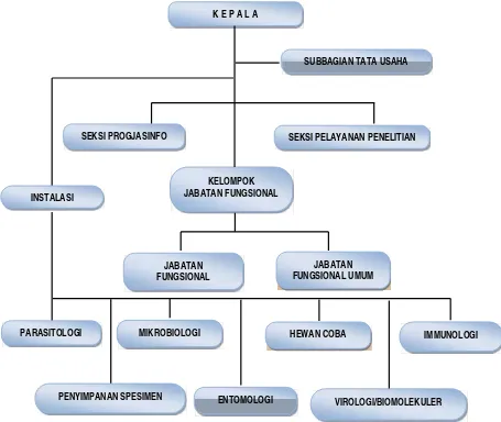 Gambar I.1. Struktur Organisasi Balai Penelitian dan PengembanganBiomedis Papua Tahun 2016