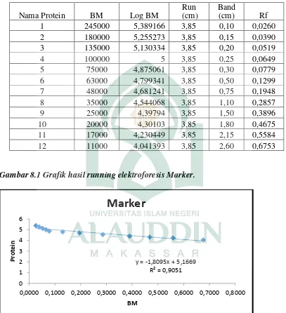 Gambar 8.1 Grafik hasil running elektroforesis Marker. 