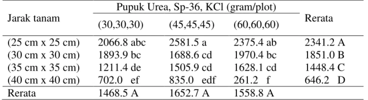 Tabel 7. Rerata produksi gabah kering giling per plot padi sawah varietas Batang  Piaman dengan berbagai perlakuan jarak tanam dan dosis pupuk