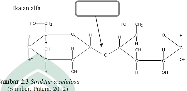 Gambar 2.3 Struktur α selulosa