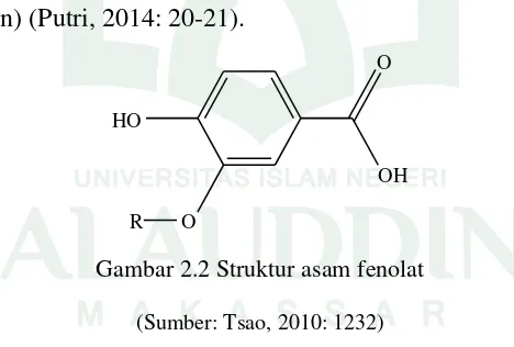Gambar 2.2 Struktur asam fenolat  