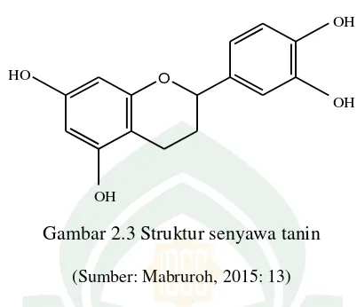 Gambar 2.3 Struktur senyawa tanin  