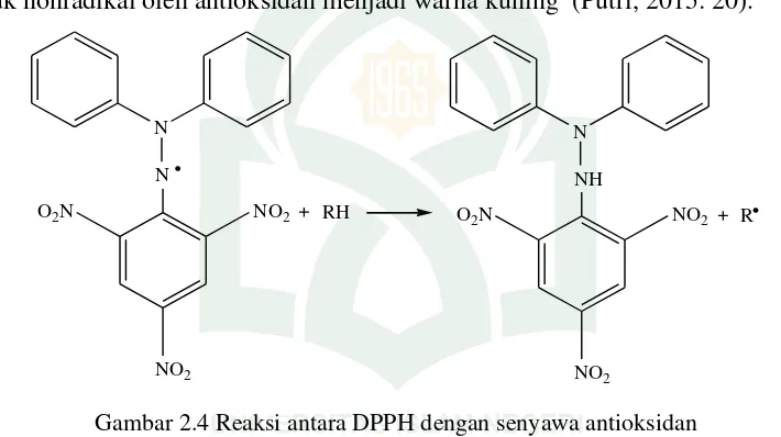 Gambar 2.4 Reaksi antara DPPH dengan senyawa antioksidan 
