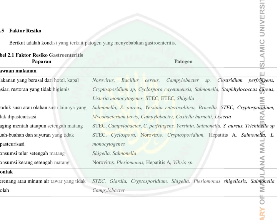 Tabel 2.1 Faktor Resiko Gastroenteritis 