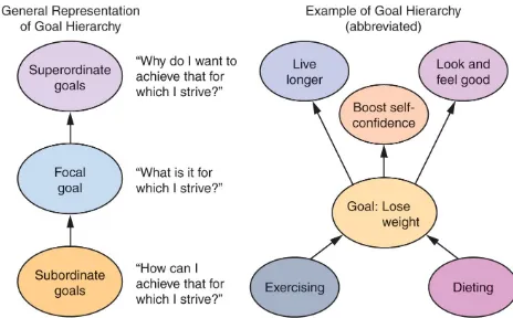 Gambar  2.Goals Structure for Weight Control